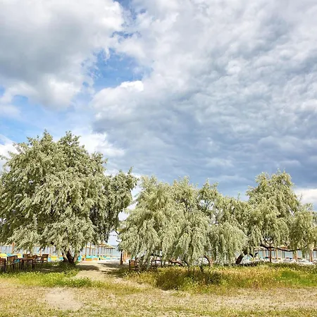 Ra Luxury Apartment *